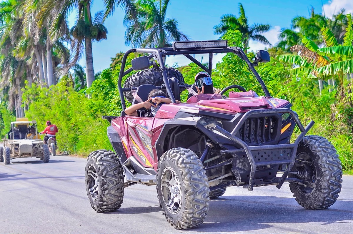 A buggy head-on along the road, with another behind among palm trees