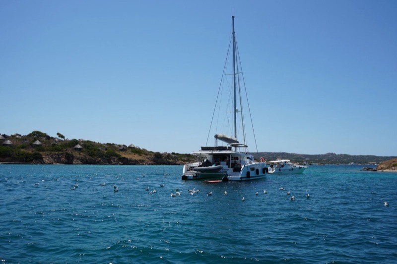 A catamaran anchored in a blue-water bay
