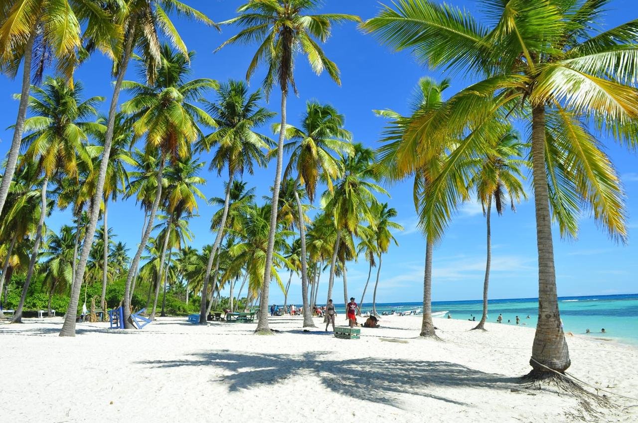 A white-sand beach with tall palms and the turquoise sea beyond