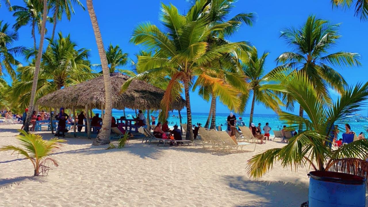 A shaded rest area under the palms on the island beach