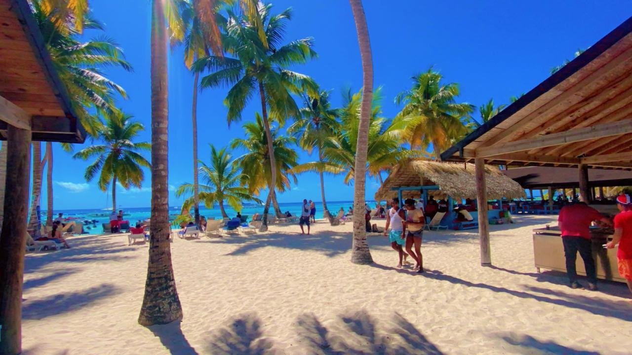 Palm trees and a beach hut by the sea
